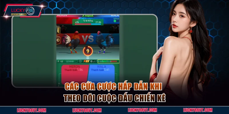 Các cửa cược hấp dẫn khi theo dõi cuộc đấu chiến kê